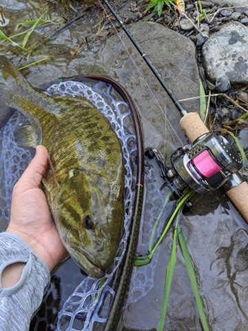 Tenryu Rayz with nice smallmouth bass.