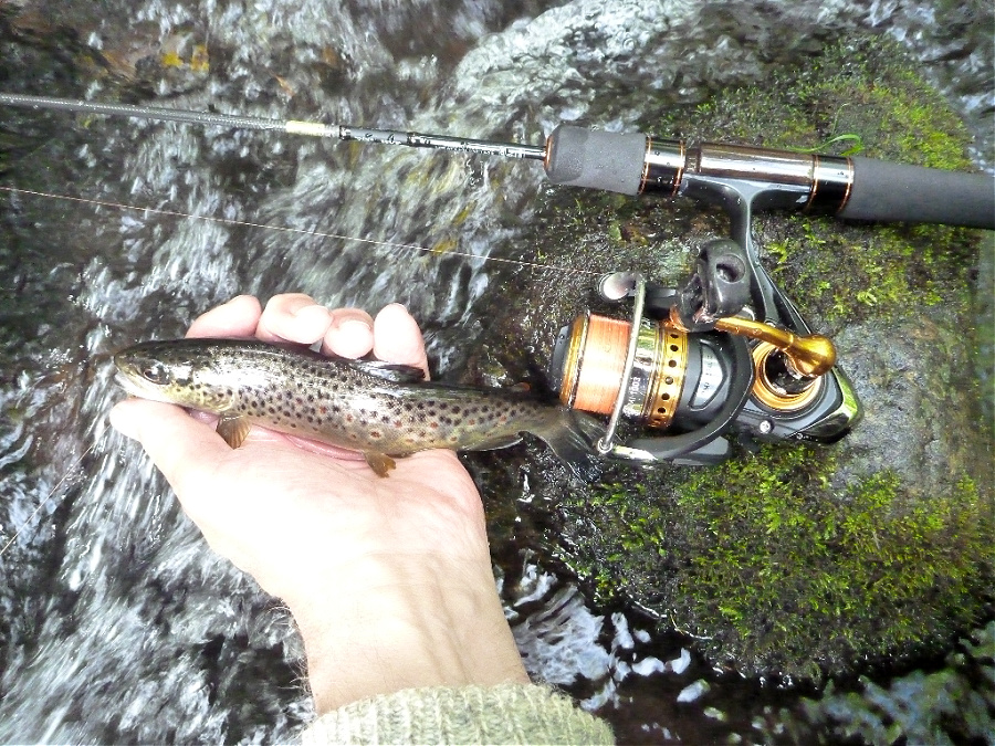 Fishband Rainbow Trout UL Fishing Rod