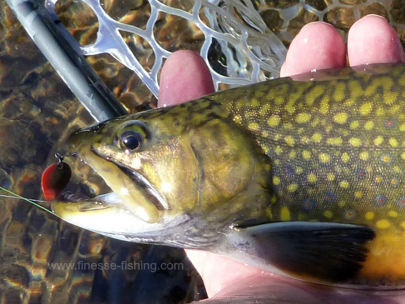 Fishing Micro Lures for Monster Trout 