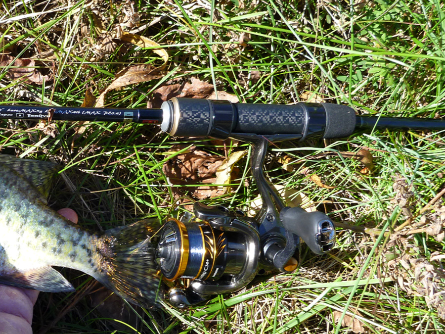 UL Fishing Spinning Rod Ultralight Carbon Fiber Solid Tips Lure