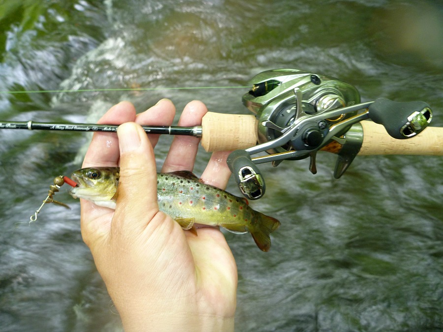 Homemade Fishing Lure Blog: Home made wobbler lure