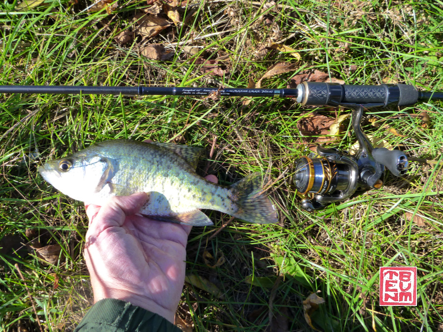 Jigging Bass Trout Fishing Rod, Hard and Fast Ultralight Lure Pole