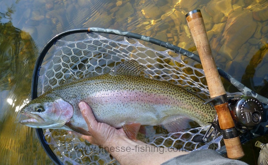 Orvis From Lure to Fly: Fly Fishing for Spinning and Baitcast Anglers