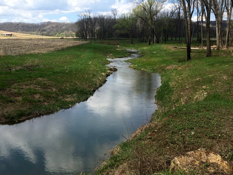 Driftless area trout stream