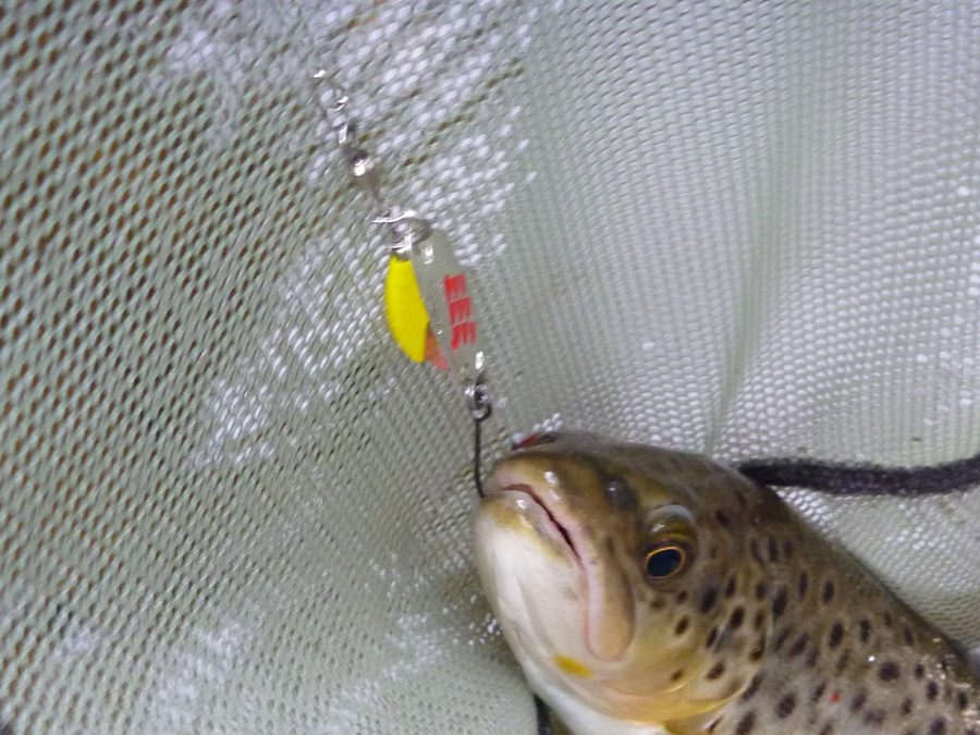 Mini Fishing Lure 1.5g 2.5g 3.5g Metal Spoon Lures Small Fish Single Hook  Jig