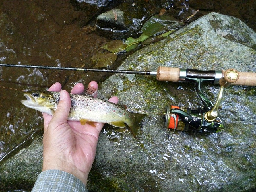 Shimano Trout One